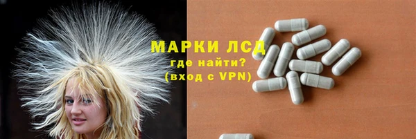 ГАЛЛЮЦИНОГЕННЫЕ ГРИБЫ Волосово