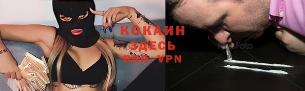ГАЛЛЮЦИНОГЕННЫЕ ГРИБЫ Волосово