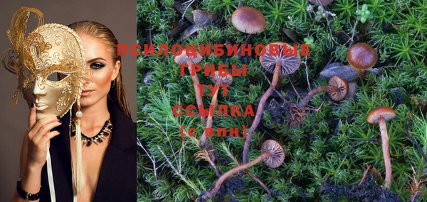 PSILOCYBIN Волоколамск