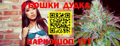 jwh Ставрополь